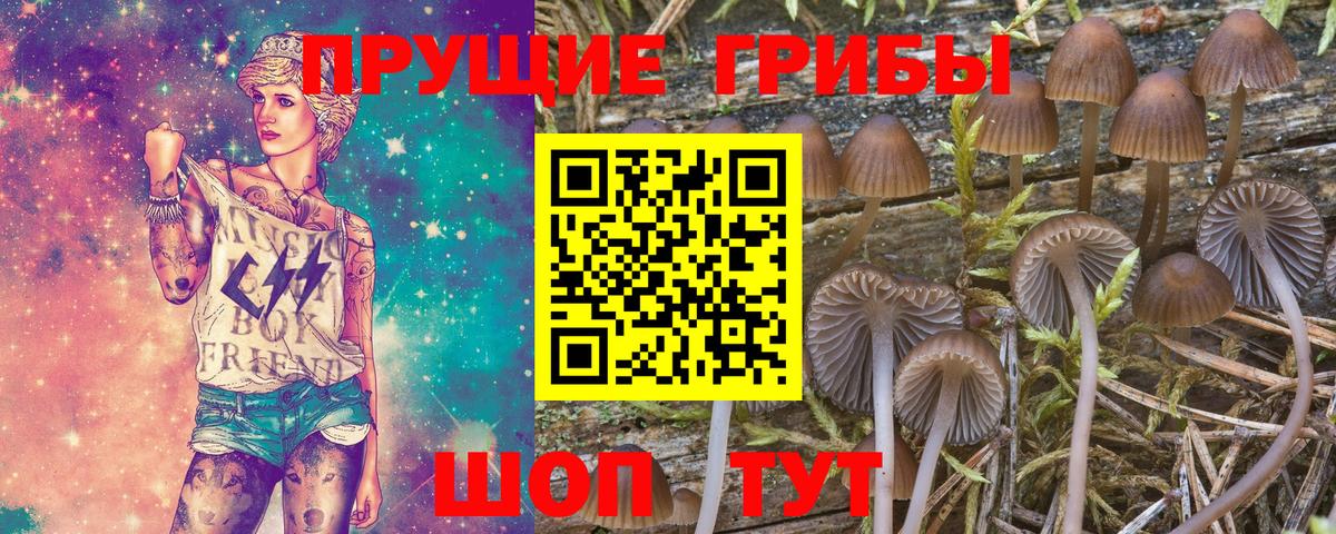 Дербент  Галлюциногенные грибы MAGIC MUSHROOMS  цена наркотик  Вход с VPN 